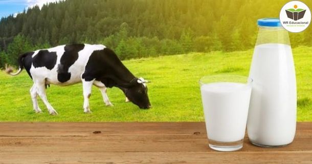 noções básicas em bovinocultura leiteira