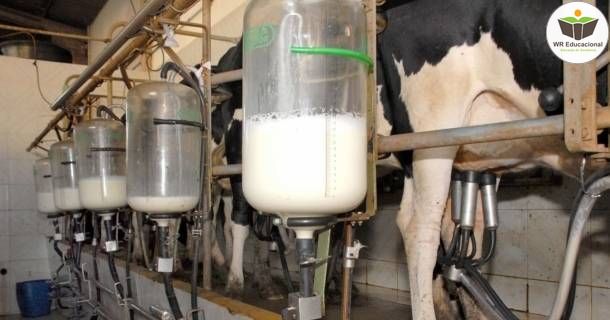 noções básicas em produção de leite
