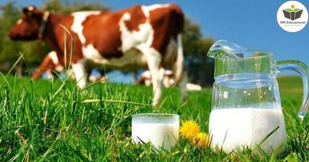 qualidade do leite e seus derivados