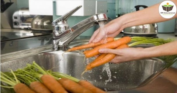 processamento de frutas, verduras e legumes