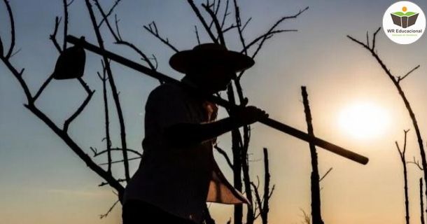 conflitos agrários e demandas do sistema interamericano de direitos humanos ao brasil