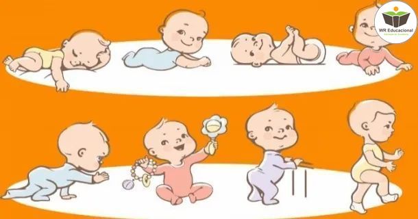 fases do desenvolvimento infantil