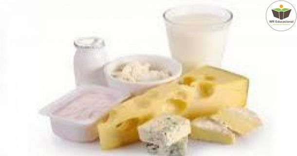 noções básicas do leite e seus derivados