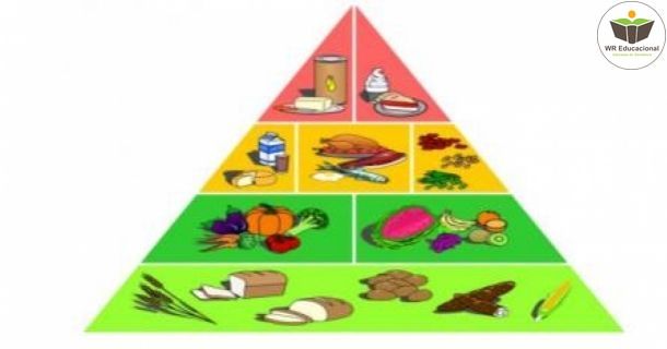 pirâmide alimentar escolar