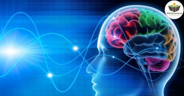 noções básicas em neurociência e sua influência na psicanálise