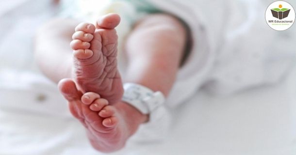 assistência ao recém-nascido na unidade de neonatologia