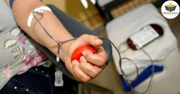 noções básicas em coleta de sangue e hemoterapia