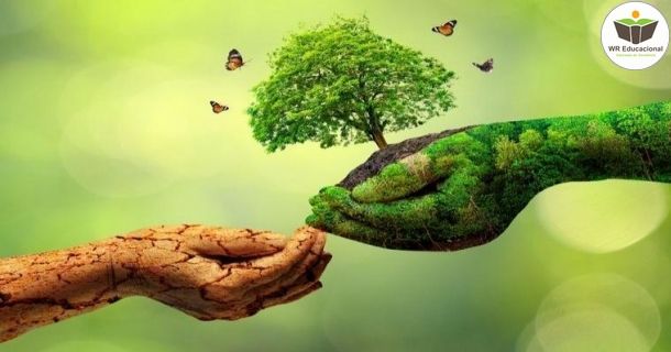 educação ambiental: natureza, razão e história
