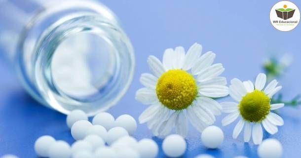 noções básicas em homeopatia ii