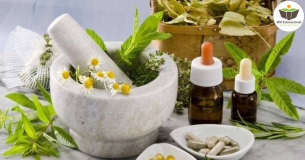 noções básicas em homeopatia i