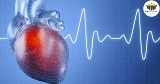 sistema de condução cardíaco e eletrocardiograma