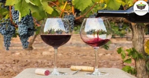 especialização em vinhos